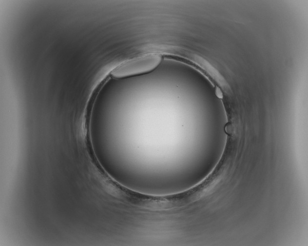 X0000111680885200907241231