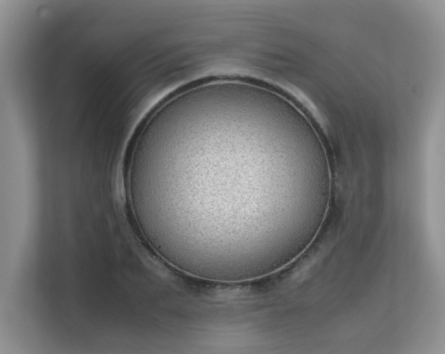 X0000111680887200907241231