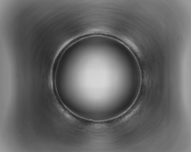 X0000111680888200907241231