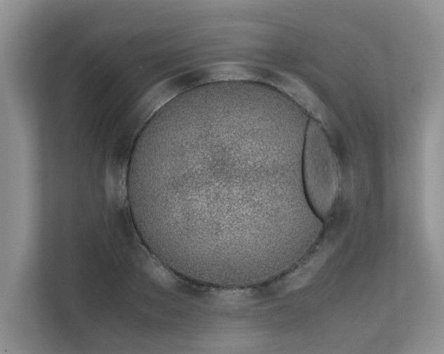 X0000111680889200907241231