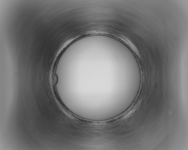 X0000111680893200907241230