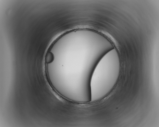 X0000111680894200907241230