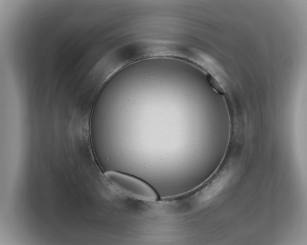 X0000111680897200907241230