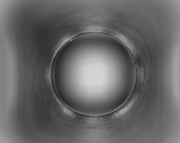 X0000111680901200907241230