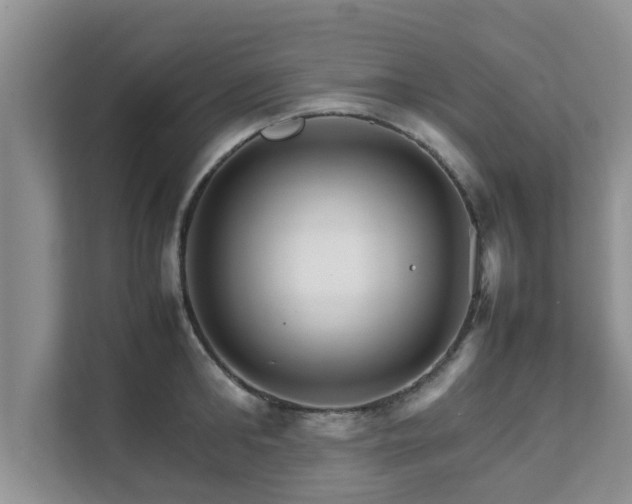 X0000111680902200907241230