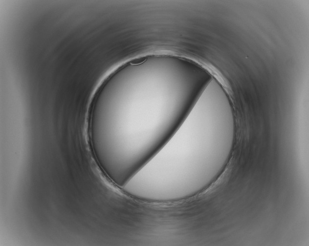 X0000111680904200907241230