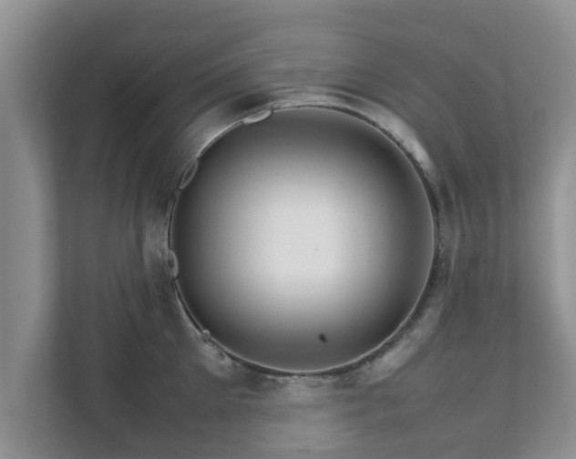 X0000111680905200907241230