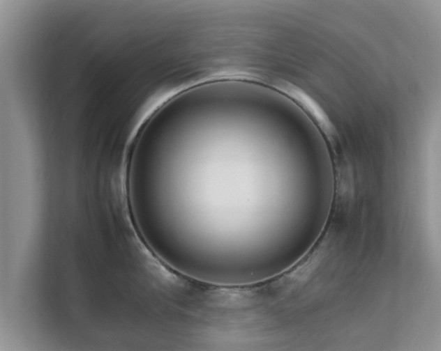 X0000111680910200907241230