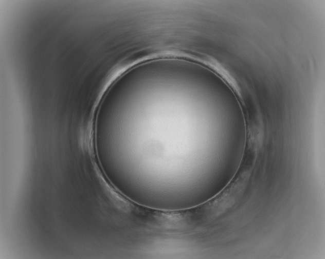 X0000111680911200907241230