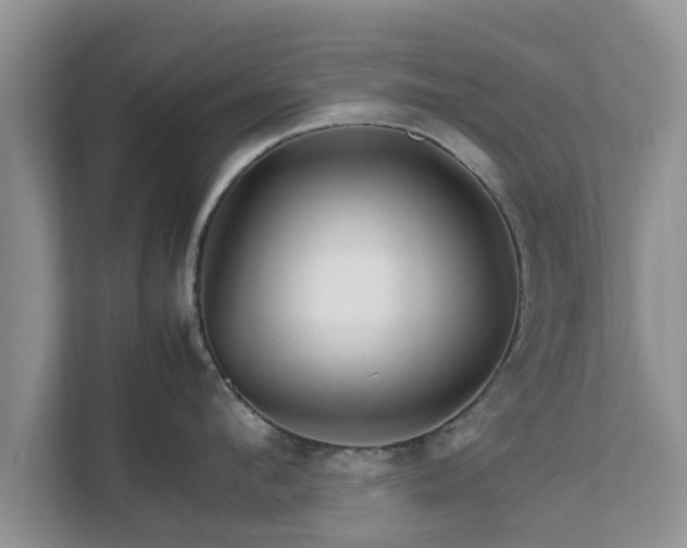 X0000111680912200907241230