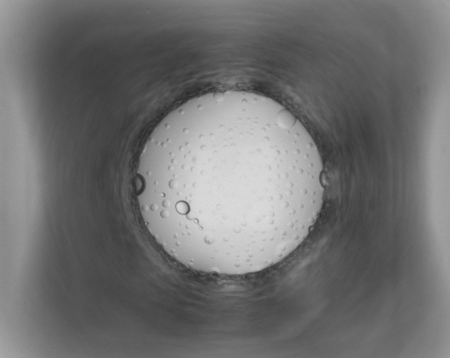 X0000111680913200907241230