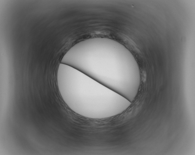 X0000111680915200907241230