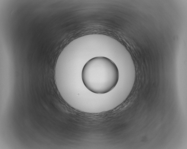 X0000111680916200907241230