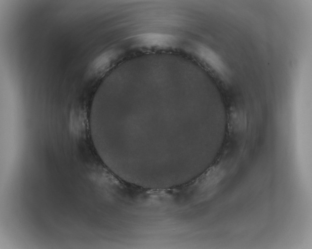 X0000111680918200907241230