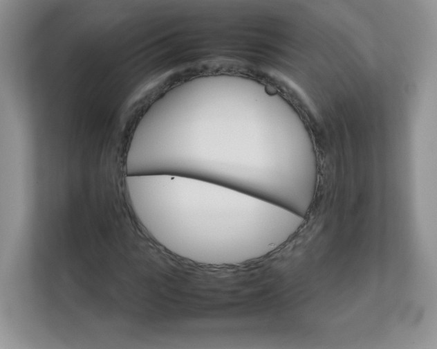 X0000111680919200907241230