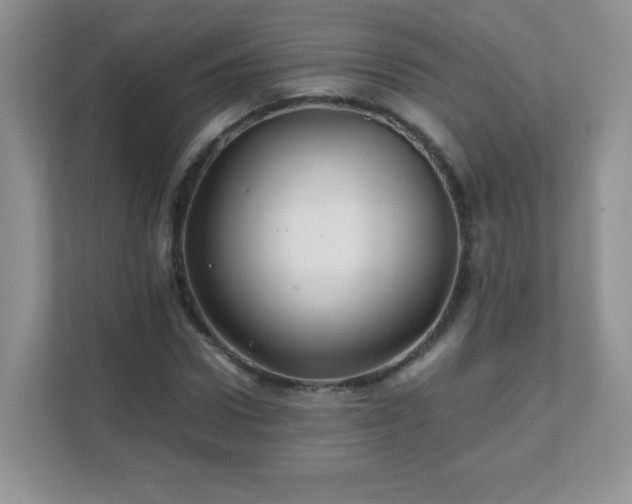 X0000111680922200907241230