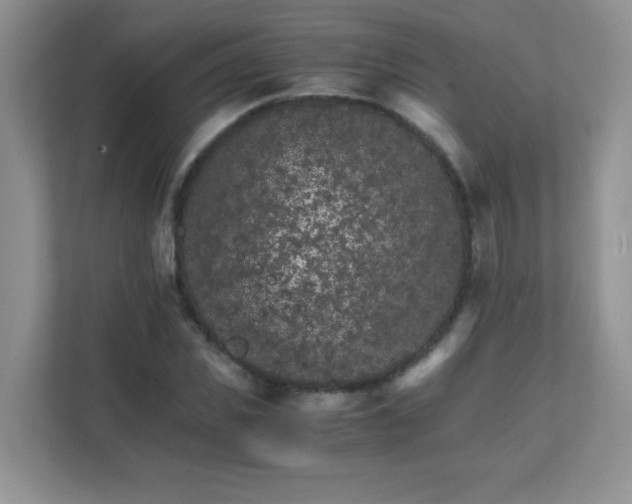 X0000111680925200907241230