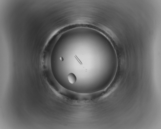 X0000111680926200907241230