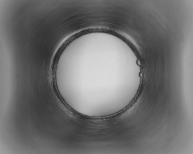 X0000111680927200907241230