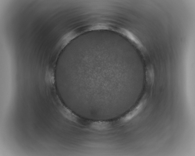 X0000111680929200907241230