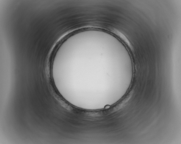 X0000111680931200907241230