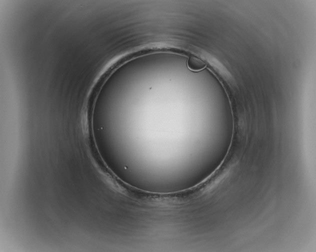 X0000111680934200907241230