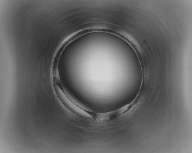 X0000111680935200907241230