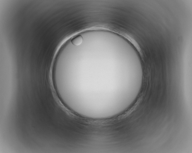 X0000111680936200907241230