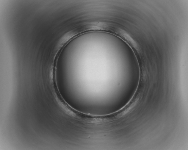 X0000111680938200907241230