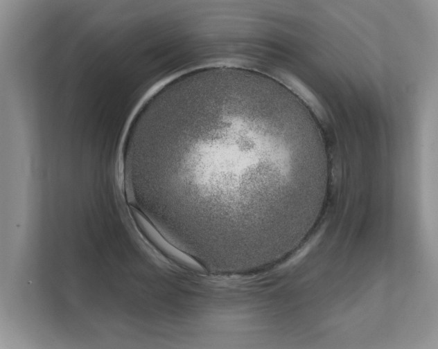 X0000111680940200907241230