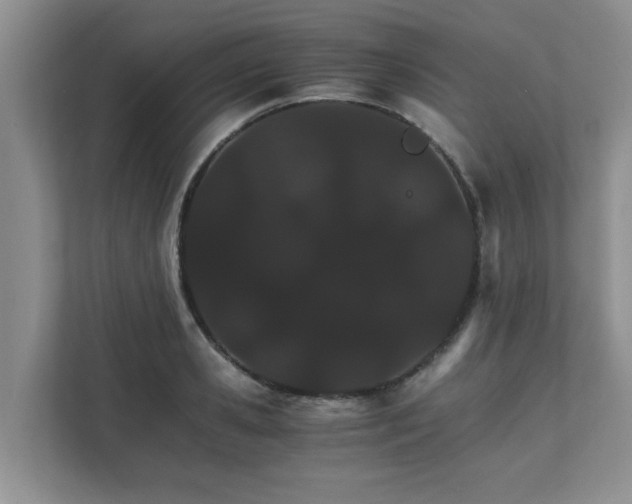 X0000111680941200907241230