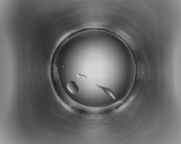 X0000111680942200907241230