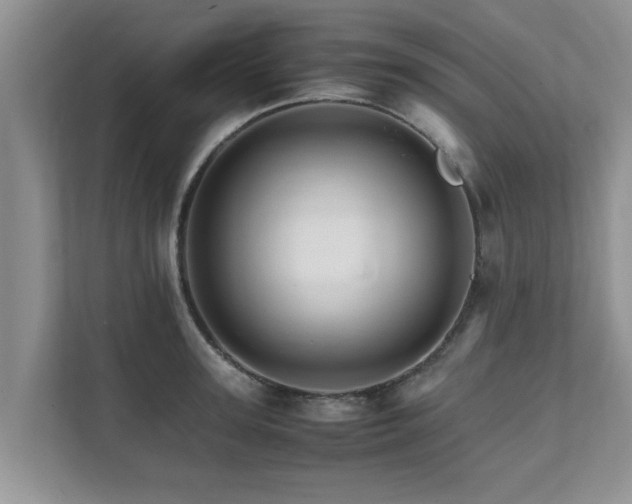 X0000111680947200907241230