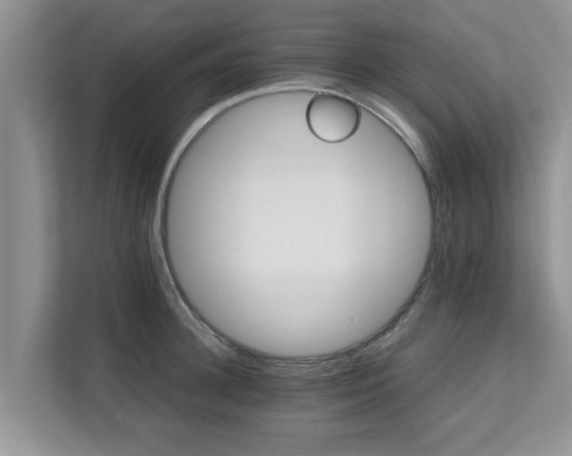 X0000111680948200907241230