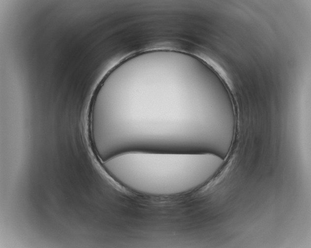 X0000111680949200907241230