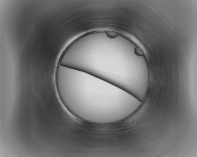 X0000111680951200907241230