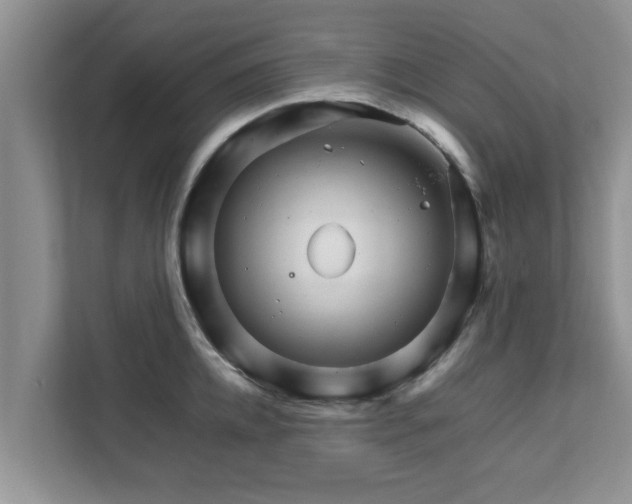 X0000111680952200907241230