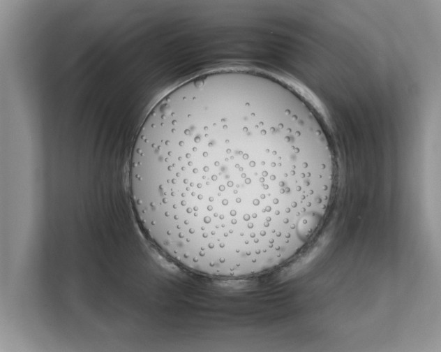 X0000111680953200907241230