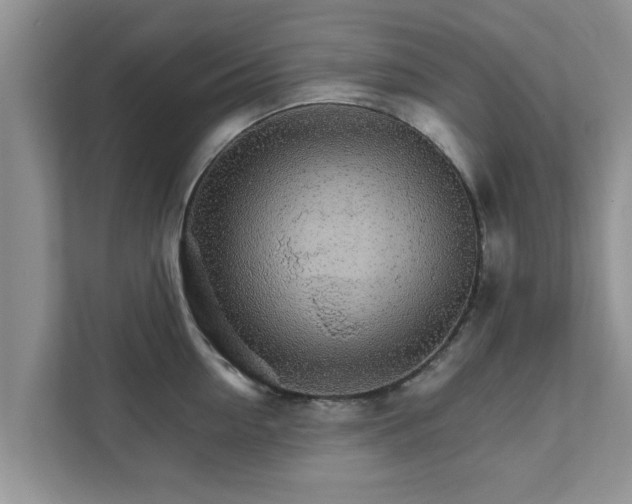 X0000111680954200907241230