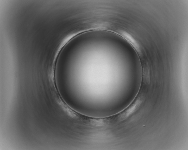 X0000111680956200907241230