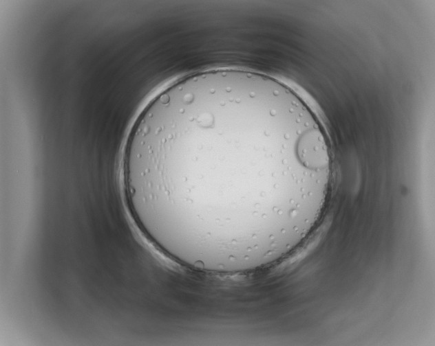 X0000111680957200907241230