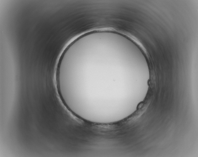 X0000111680959200907241230