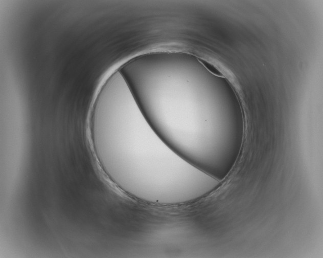 X0000111680960200907241230