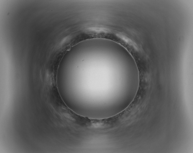 X0000111680965200907241230