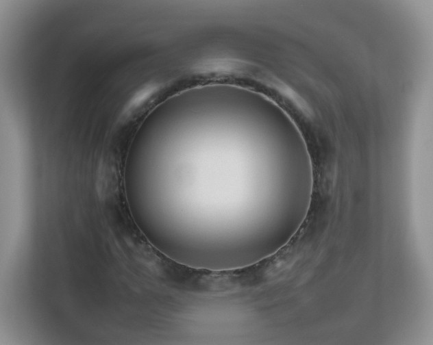 X0000111680967200907241229