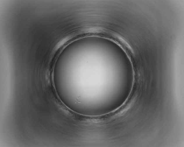 X0000111680970200907241229