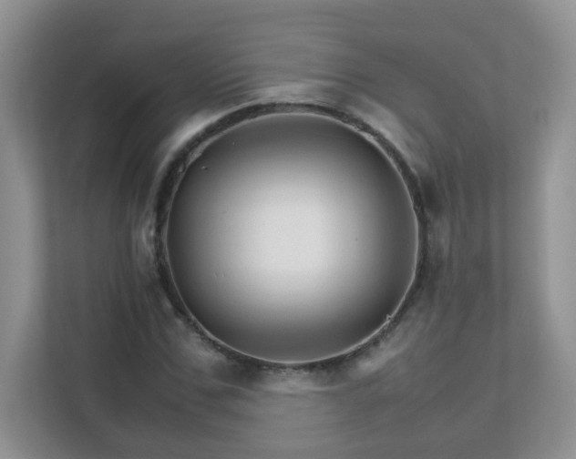 X0000111680971200907241229