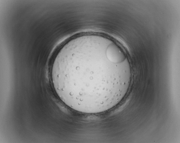 X0000111680974200907241229