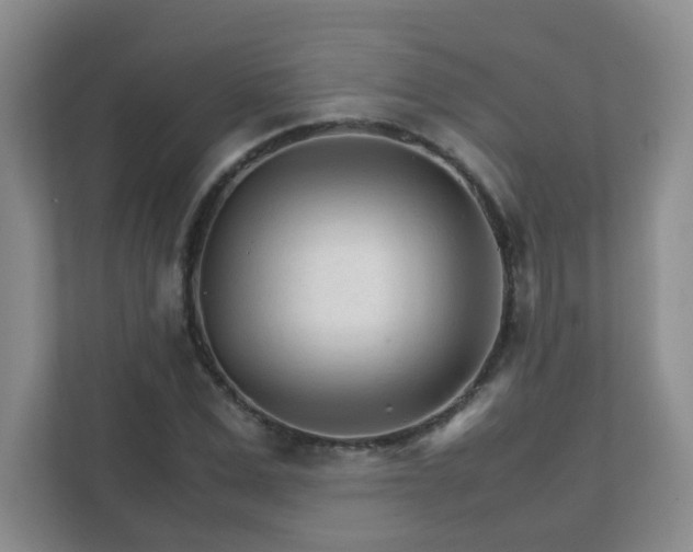 X0000111680975200907241229