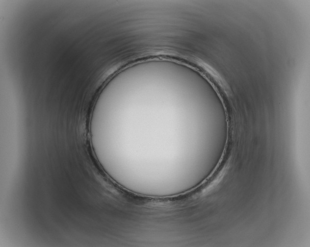 X0000111680977200907241229